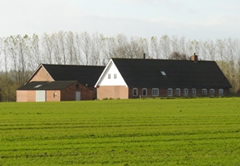Håndvad